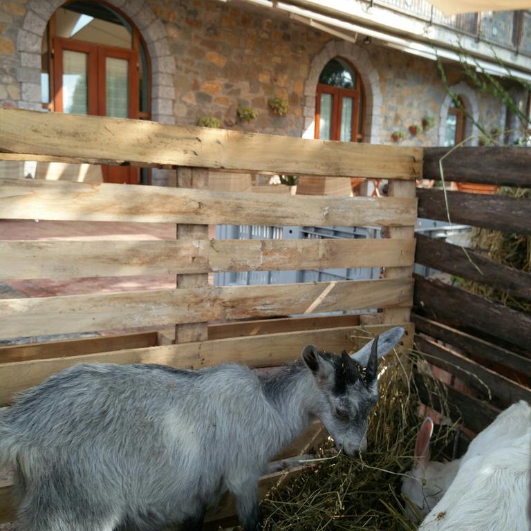 Agriturismo Prisco Villa San Mauro la Bruca Kültér fotó